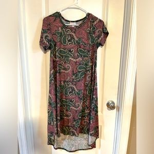 Bundle of Lularoe Swing Dresses (4)